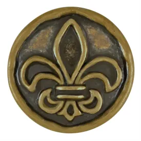 Antique Brass Fleur De Lis - Final Sale